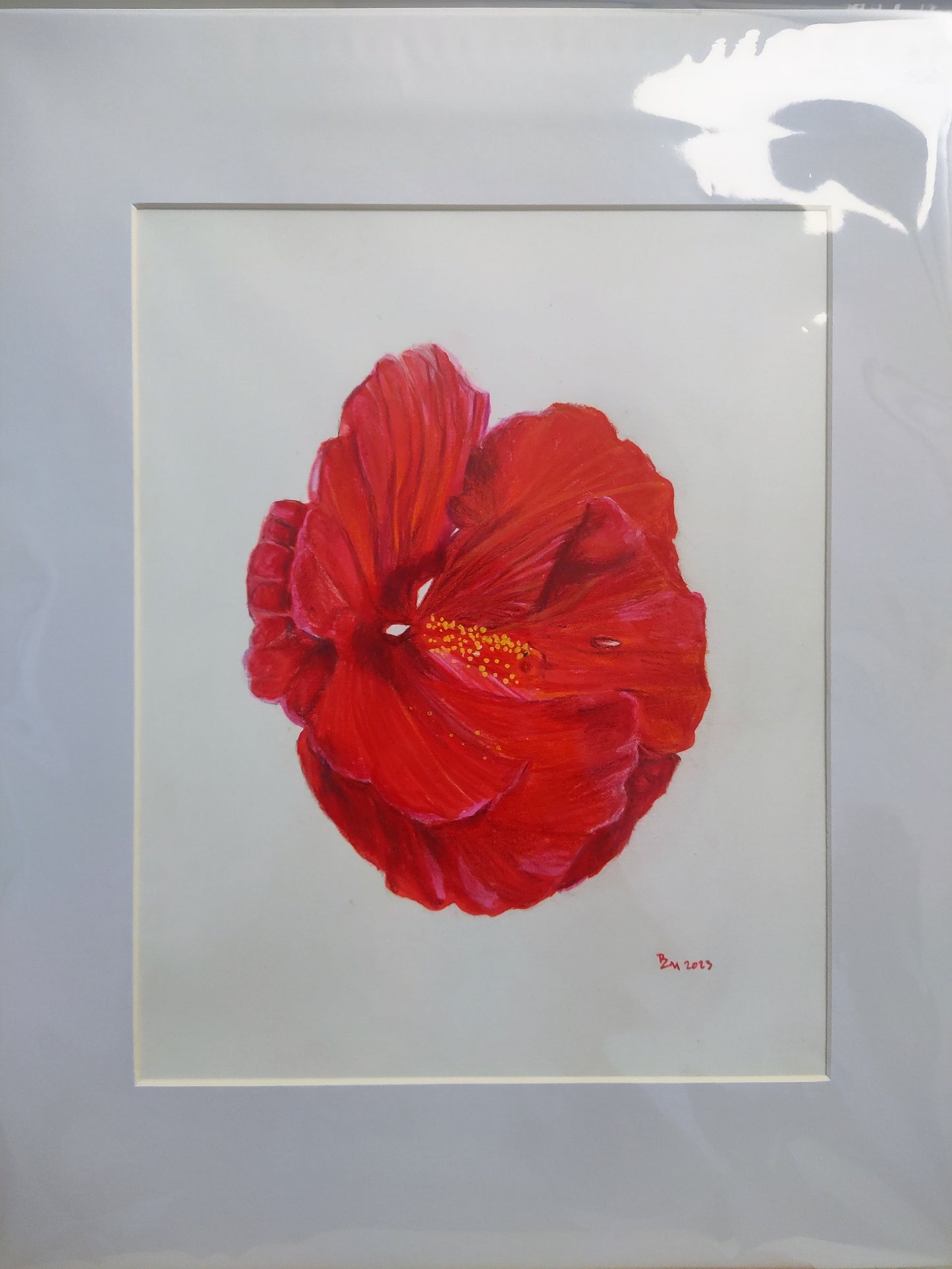 Red Hibiscus - original fine art detailed botanical floral artwork