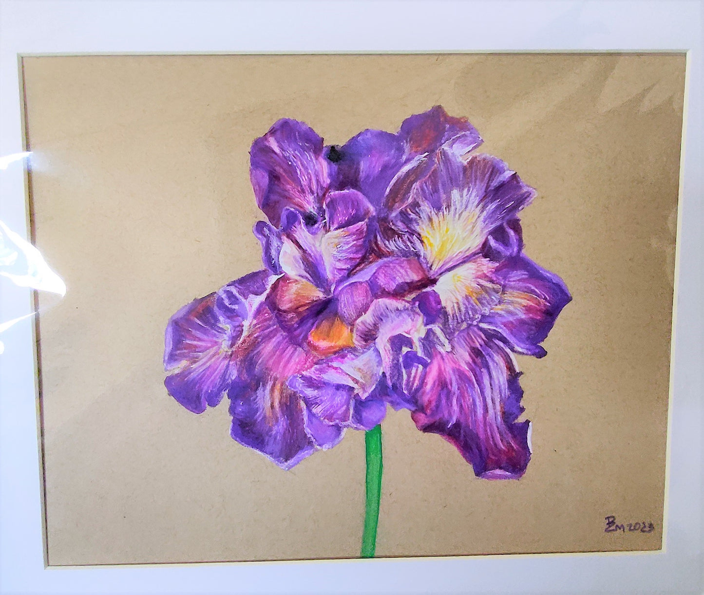 "Striped Purple Iris" - mixed media artwork