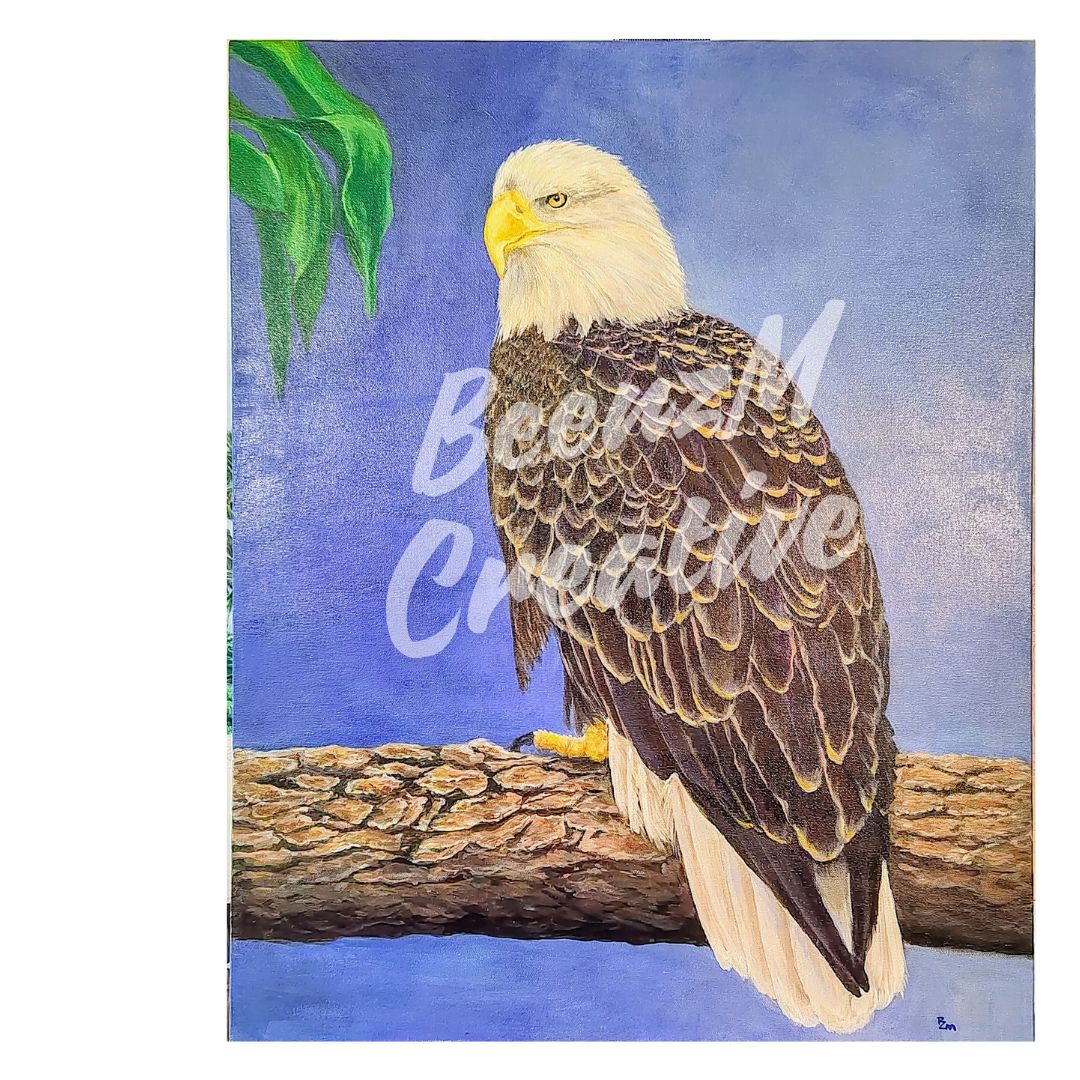 Bald Eagle - colorful feathers