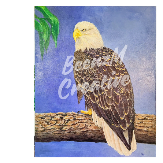 Bald Eagle - colorful feathers