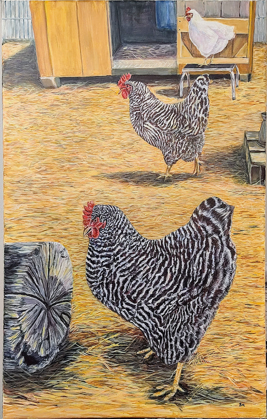 Three chickens in a row on hay covered ground wooden floor with a coop in the background