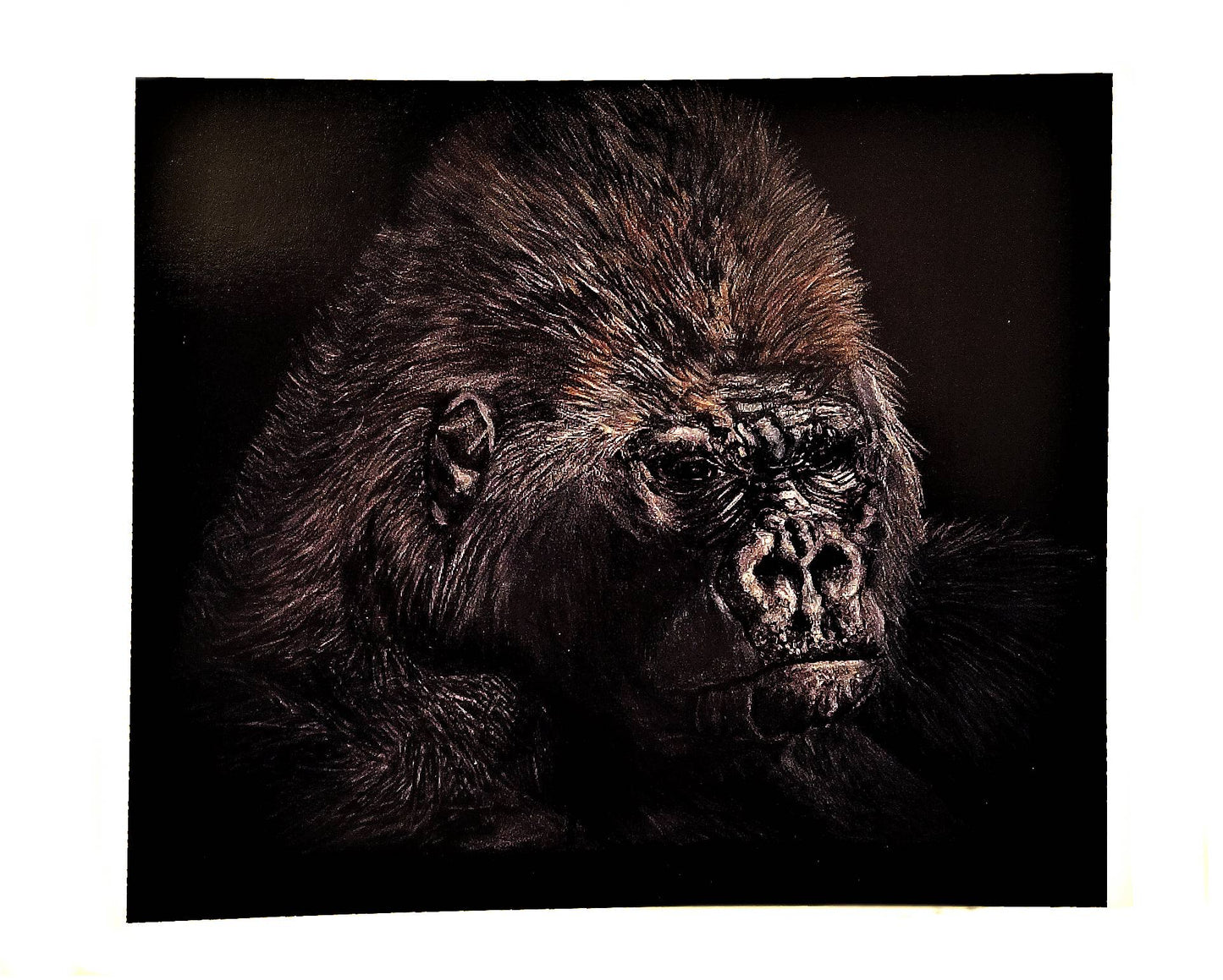 Fine art print - Pensive Gorilla