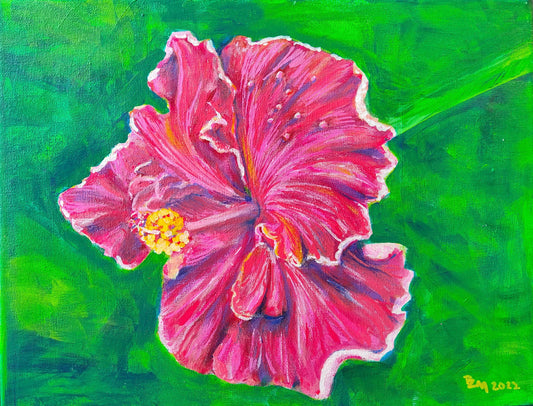 Pink Hibiscus