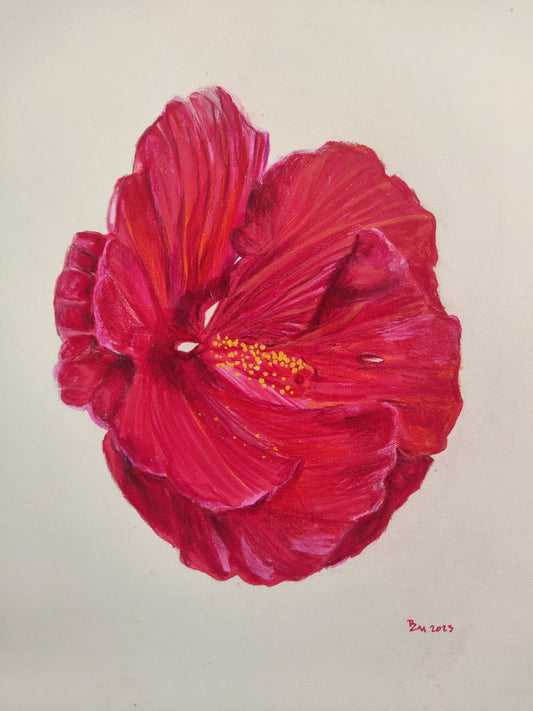 Red Hibiscus - original fine art detailed botanical floral artwork